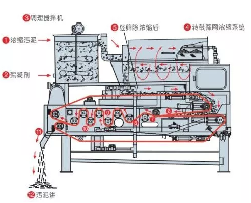 带式污泥干化机.png